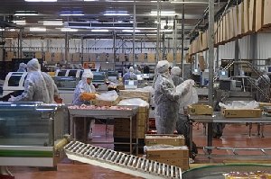 Год экологии в Нагайбакском районе знаменуется рядом мероприятий