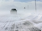 Осторожно - метель!