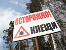 Скоро в Нагайбакском районе начнется "сезон клещей"