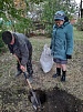 Сделаем район краше!