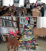В Нагайбакском районе соорудили Ёлку из книг