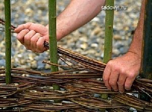 Тень на плетень