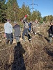 Восстановили изгородь