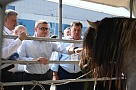 Сельхозпредприятия и фермеры Южного Урала продемонстрировали свои достижения