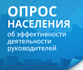 Как оценить работу власти?
