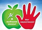 Как бороться с наркоманией в Нагайбакском районе?