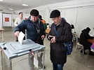 Почти треть избирателей Нагайбакского района проголосовали на выборах 