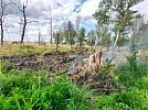 Около Парижа вновь вспыхнул лесной пожар