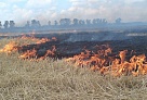 Пожары чуть не спалили сёла