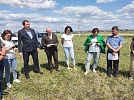 Когда будет Сабантуй?