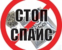 Спайсы "оккупируют Нагайбакский район